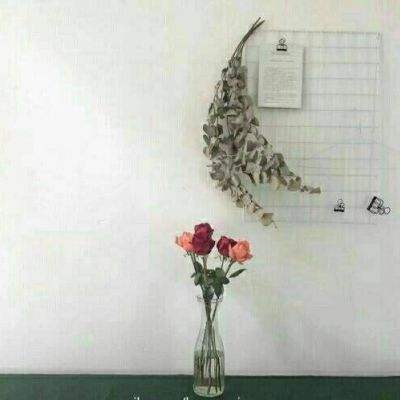 墨斗测试服下载